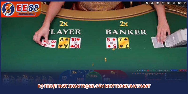 Bộ thuật ngữ quan trọng cần nhớ trong baccarat
