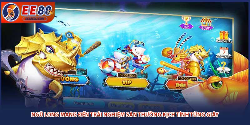 Ngũ Long mang đến trải nghiệm săn thưởng kịch tính từng giây