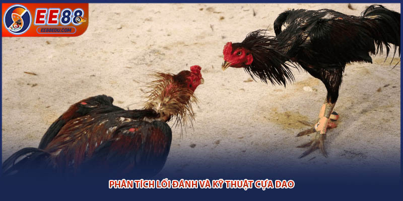 Phân tích lối đánh và kỹ thuật cựa dao